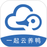 一起云养鸭 v1.0.0