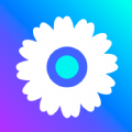 混沌小工菊 v1.0.0