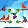 鸟类颜色排序(Bird Sort) 0.3