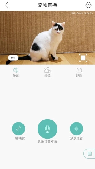 hipet手机版
