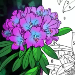 画画小达人 7