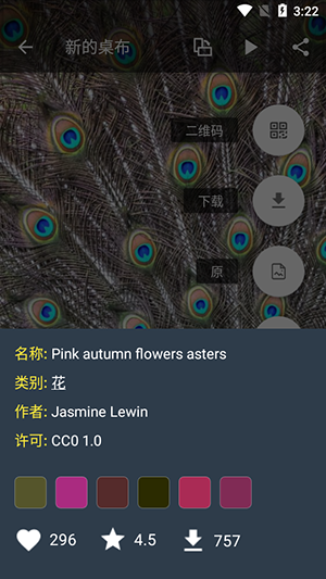 7fon壁纸