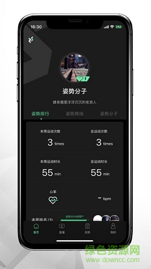 姿势运动