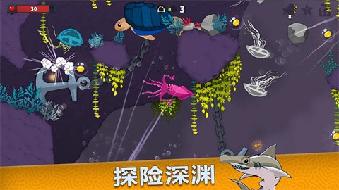 皇家鱼