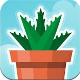 女神森林计划 3.2