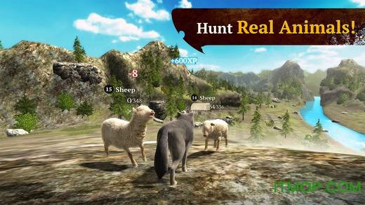 狼族无限金币钻石破解版(The Wolf: Online RPG Simulator)
