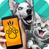 pet translator 正版 2.3.5