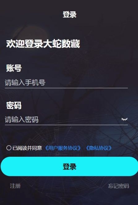 大蛇文创数藏平台