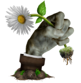 PvZ乐pad 1.0.0