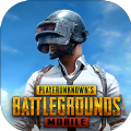 地铁逃生rkr内部测试(PUBG MOBILE) 3.6.0