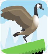 Jump Goose Jump!(捣蛋鹅中文版) 3.15.4