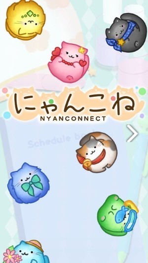 にゃんこね にゃんこね