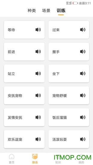猫咪翻译器 猫咪翻译器