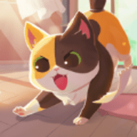 养猫合成记 5000.5.2