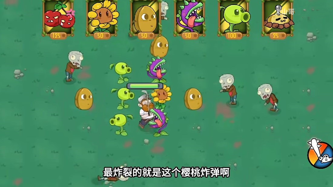 戴夫幸存者
