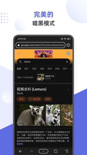 狐猴浏览器app手机版 狐猴浏览器app手机版