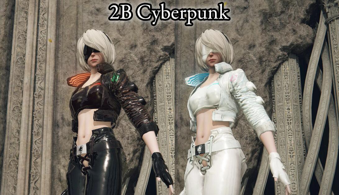艾尔登法环赛博朋克2bMOD