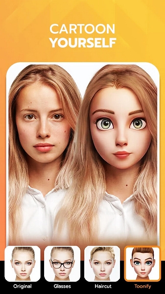 facelab软件
